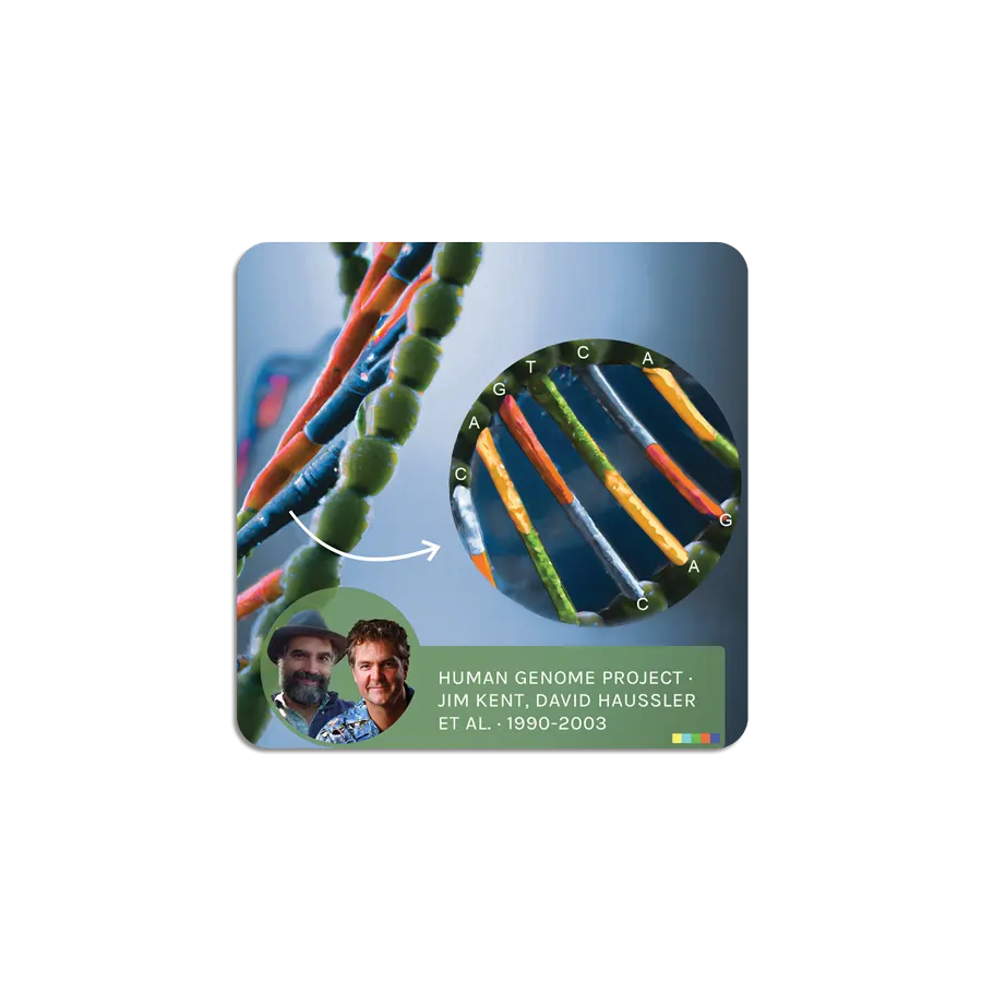 Digital and Information Revolution ScienceWall Magnetic Cards (20 units)