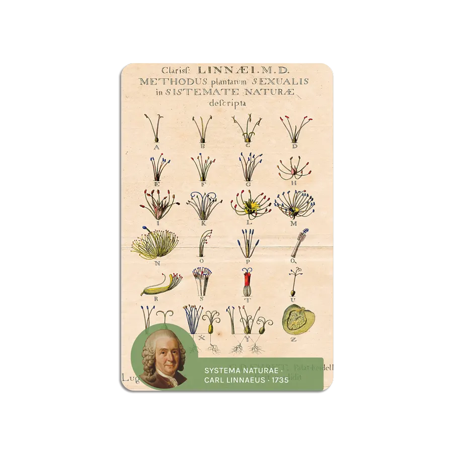 Enlightenment ScienceWall Magnetic Cards (20 units)