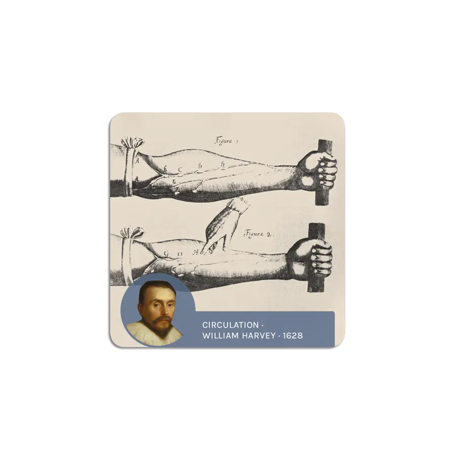 Scientific Revolution II ScienceWall Magnetic Cards (20 units)