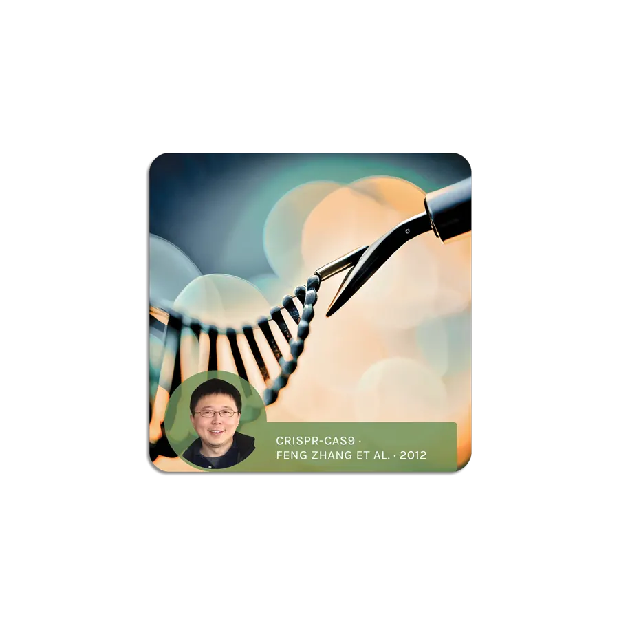 Digital and Information Revolution ScienceWall Magnetic Cards (20 units)