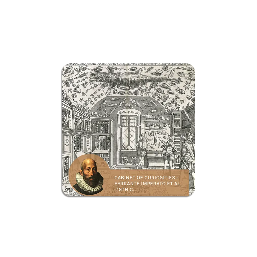 Scientific Revolution I ScienceWall Magnetic Cards (20 units)