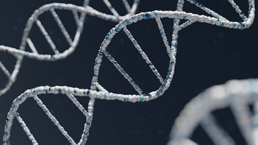 Shaping the Future of Genetics: Exploring the Human Genome Project and Its Impact