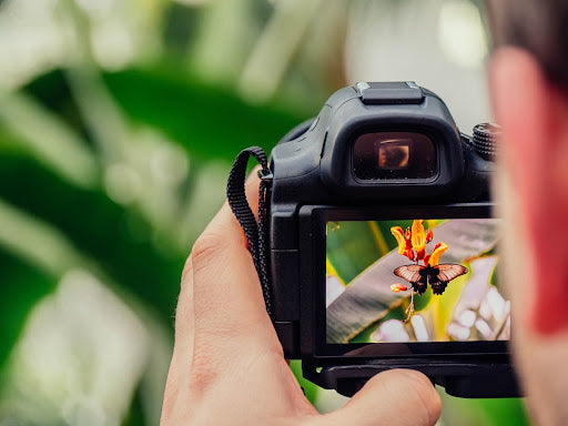 A Fascinating Journey through the History of Photography