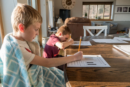 Homeschooling 101: Understanding the Basics of Home Education